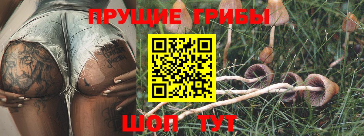 Гагарин  Галлюциногенные грибы мухоморы  Галлюциногенные грибы мухоморы  Вход с VPN 